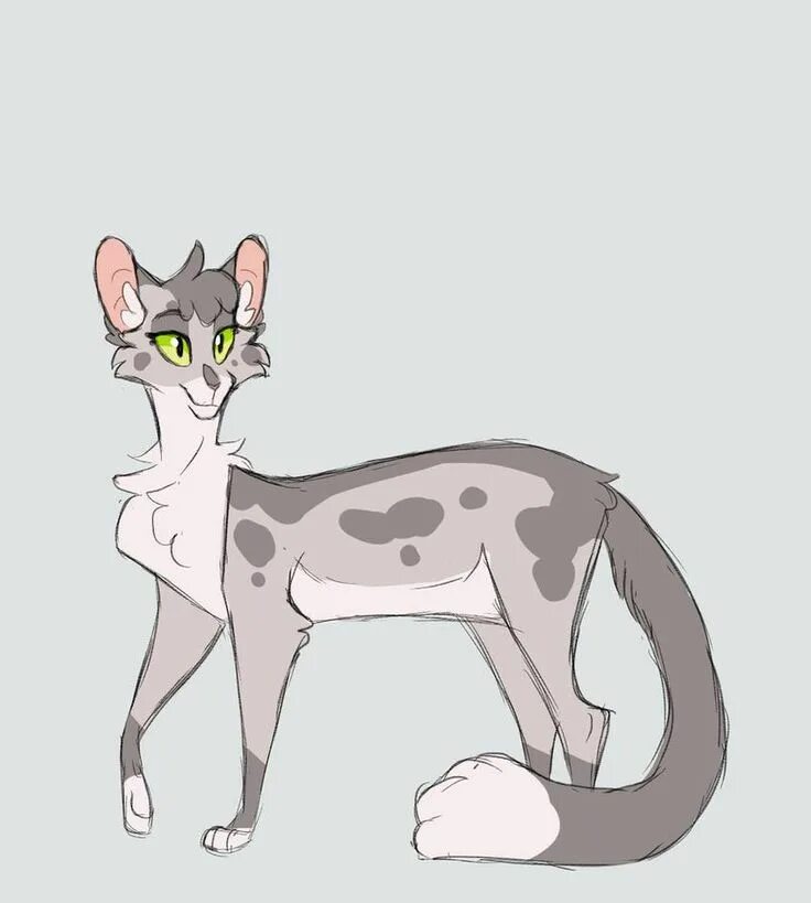 Коты воители songsteps кот. Коты воители songsteps. коты воители by songsteps. ferncloud коты воители.