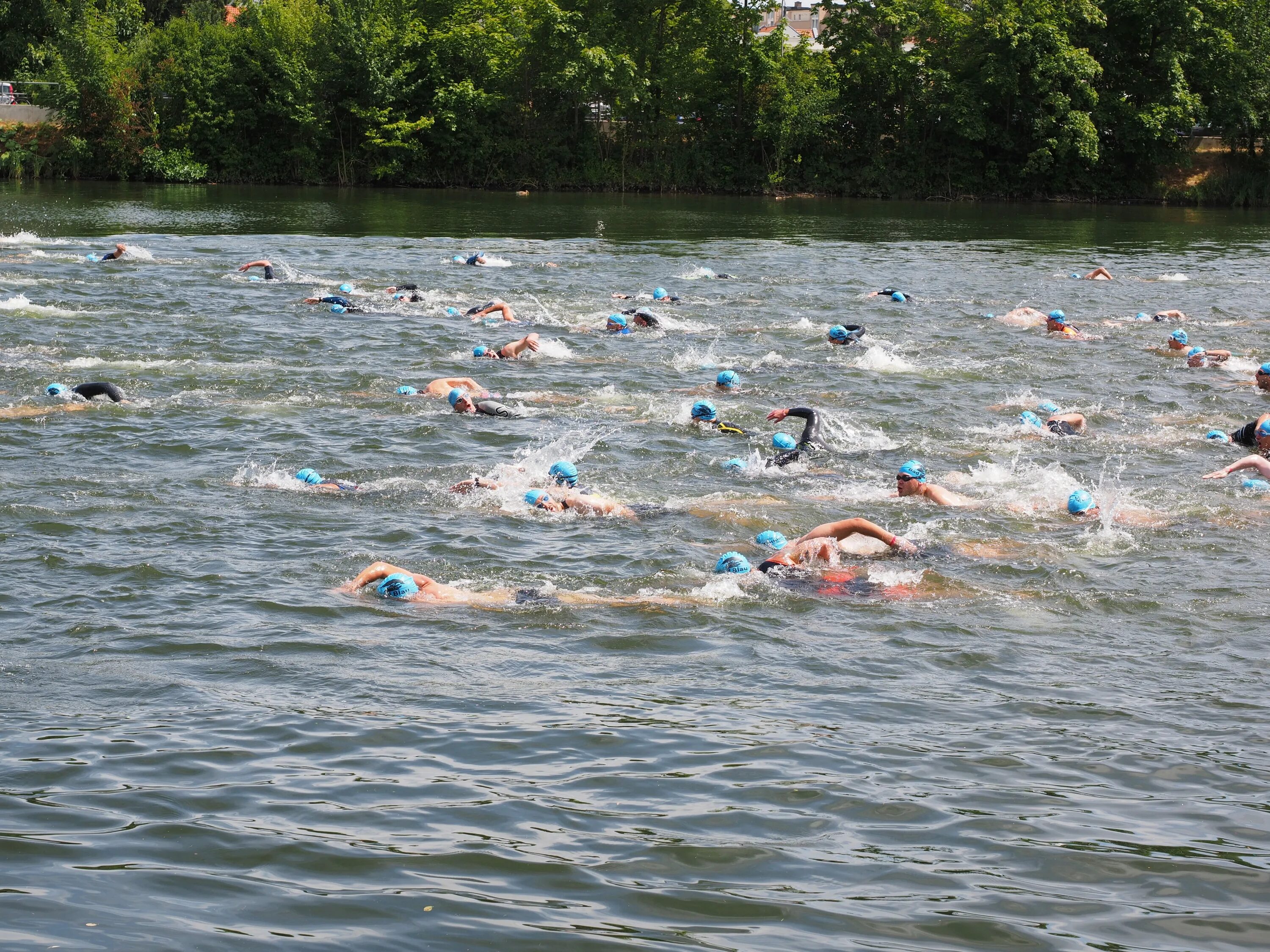 Река в турнире. Плавание в реке. Плывет в речке. Плавать в речке. Swimming на речке.