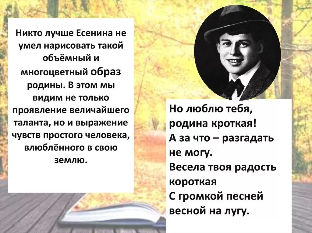 Почему любят есенина. Стихи Сергея Александровича Есенина 1895-1925. Стихи Есенина. Поэтические образы Есенина. На родине Есенина.