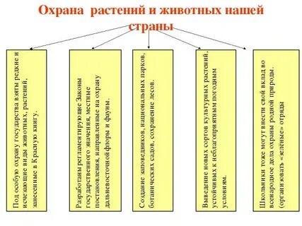 Меры охраны растений