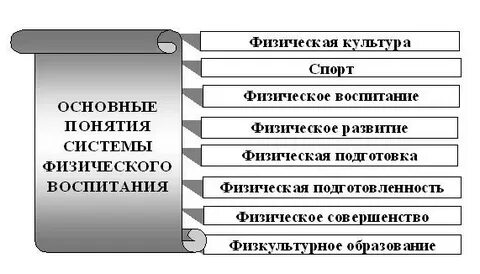 Определения и понятия физическая культура