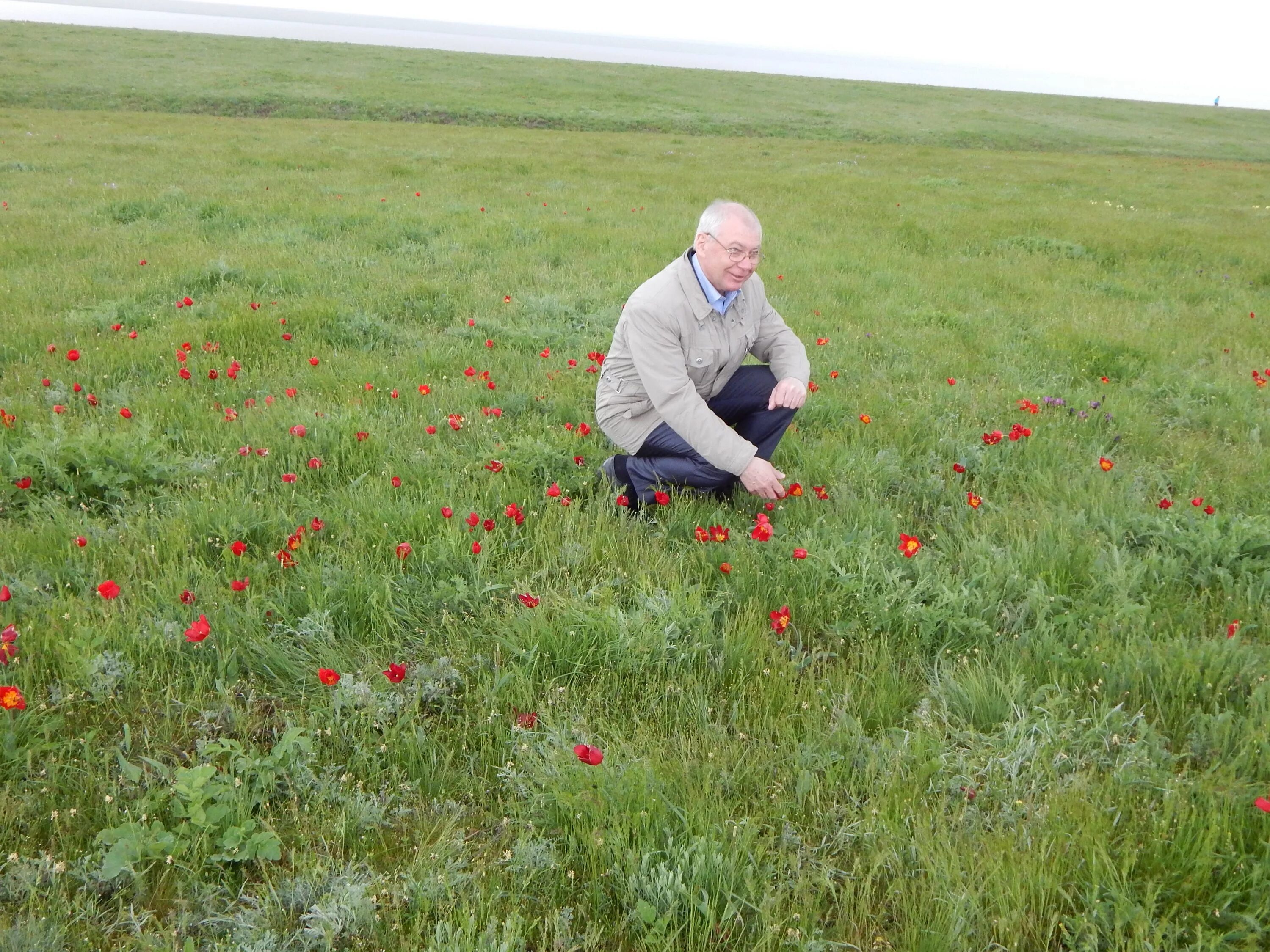 Погода в курганном ростовской области орловского района. Красный Маныч Калмыкия. Орловский район п Волочаевский заповедник. Степь в Орловском районе Ростовской области. Поселок Маныч Орловский район Ростовская область.