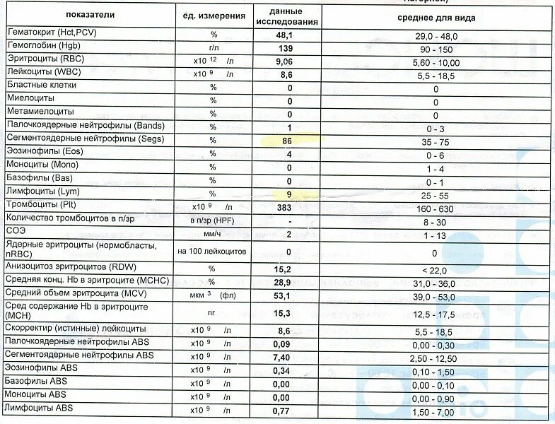 Повышенные эритроциты у ребенка 2 года