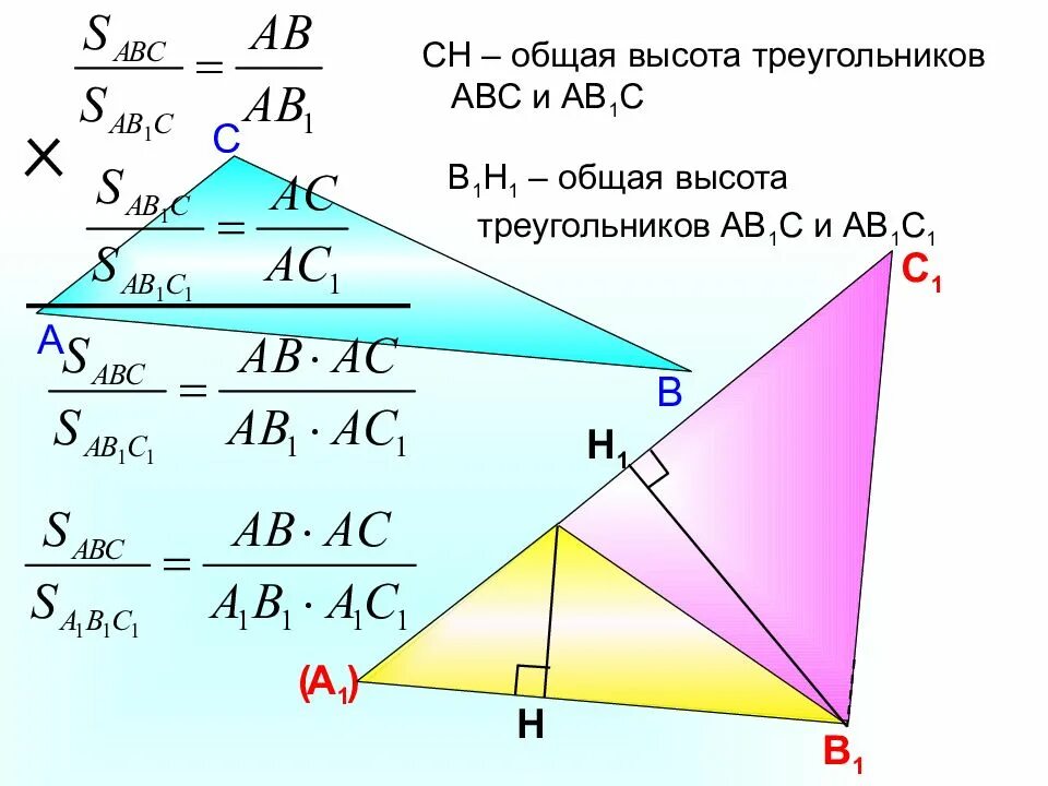 Что показывает высота в треугольнике. Общая высота треугольников. Высота треугольника. Если у треугольников общая высота. Площади треугольников с общей высотой.