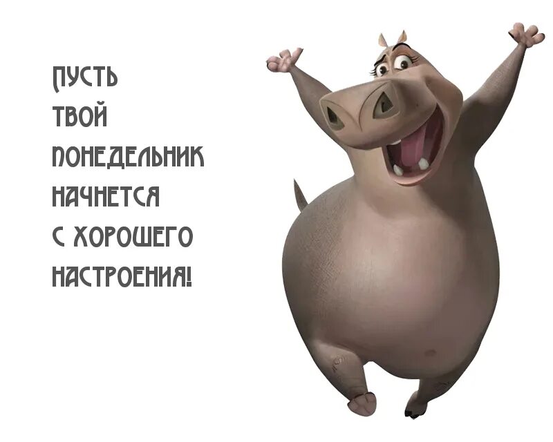 Открытка с понедельником смешная. Скидка на последний размер картинка. Шутки про понедельник. Открытки с добрым понедельником. Понедельник выходной.
