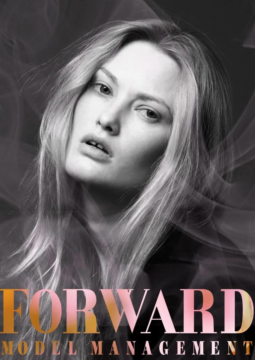 Forward modeling. Forward modeling