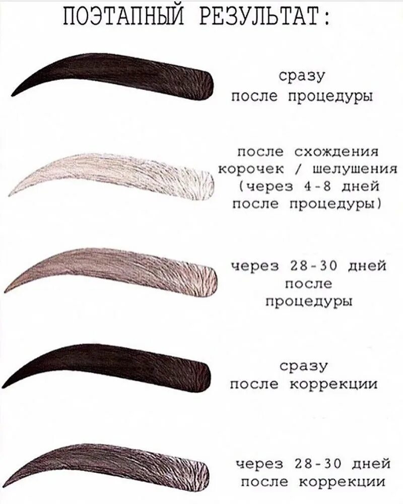 этапы заживления перманентного макияжа по дням. этапы заживления перманентного макияжа по дням. перманент бровей заживление. процесс заживления перманента бровей. татуаж бровей после заживления.