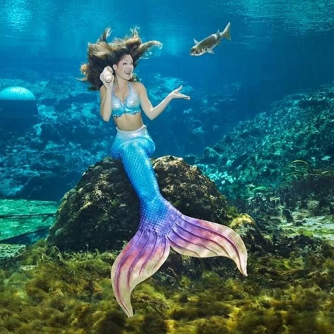 Mermaid русалка. Про больших русалок. Русалочки настоящие. Хвост русалки. Настоящие русалки.