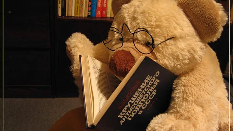 Училка и медведь читать. Мишки в книжке. Медвежонок с книжкой. Плюшевый мишка с книжкой. Медведь с книжкой.