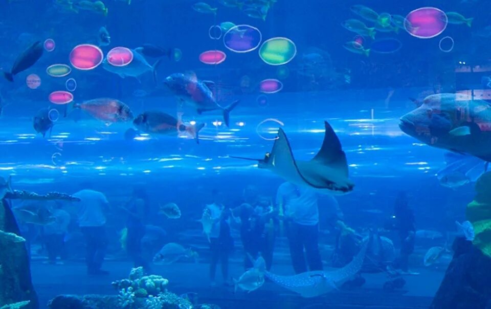 Океанариум хургада. Гранд аквариум Египет. Океанариум «Гранд-аквариум» в Хургаде. Grand Aquarium Hurghada в Хургаде. Биг аквариум Хургада.