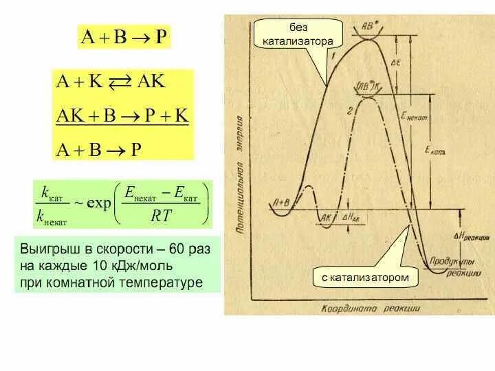 Какой катализ. Механизм гомогенного катализа. Гомогенный катализ механизм действия. Гомогенный катализ схема. Схема катализа химической.