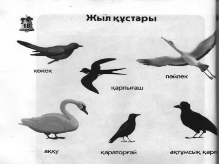 Минет жасап жатқан екі хатшы