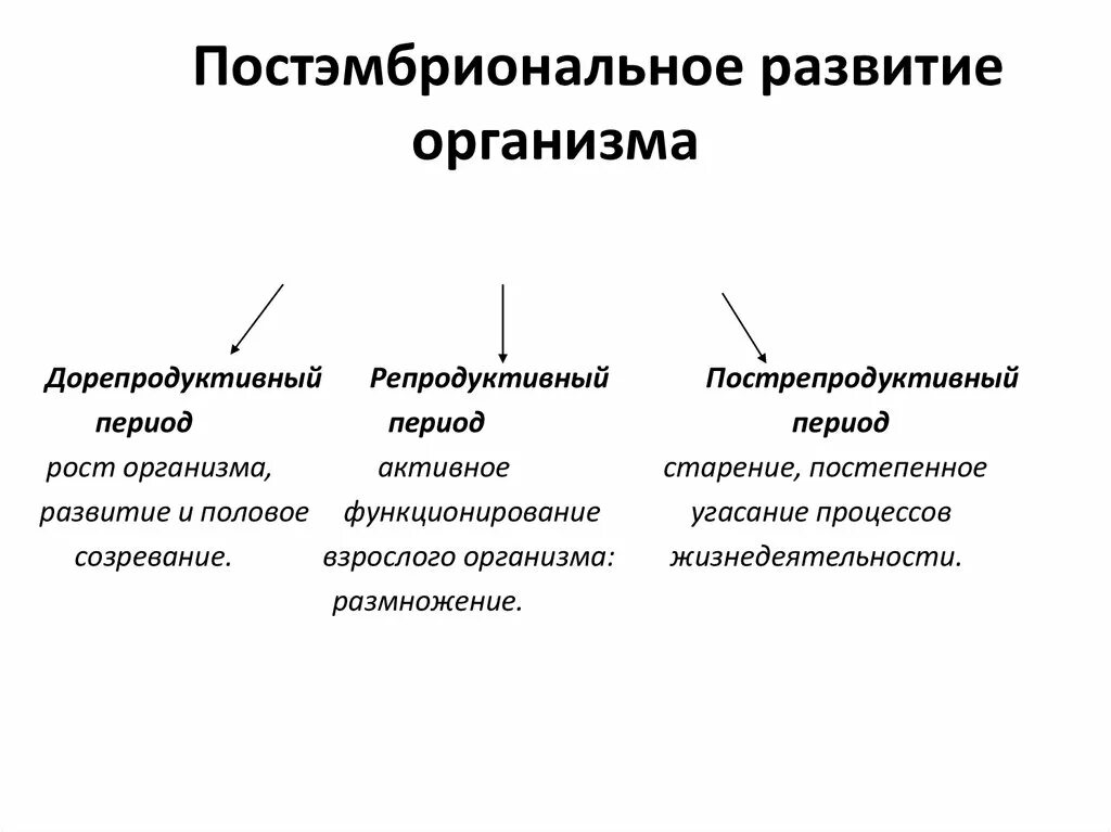 Работа по онтогенезу 10 класс. Постэмбриональный постэмбриональный период развития. Краткая характеристика постэмбрионального развития. Охарактеризуйте этапы постэмбрионального развития человека кратко. Этапы постэмбрионального периода развития.