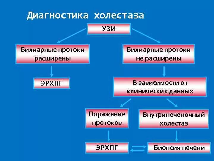 Инструментальная диагностика холестаза. Лабораторные проявления синдрома холестаза. Диагностика внутрипеченочного холестаза. УЗИ диагностика холестаза.