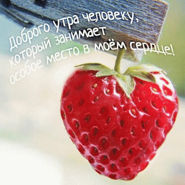 Доброе утро самый дорогой человек. Доброе утро моя. доброе утро моему любимому человеку. доброе утро мой сладкий. с добрым утром любимому человеку.