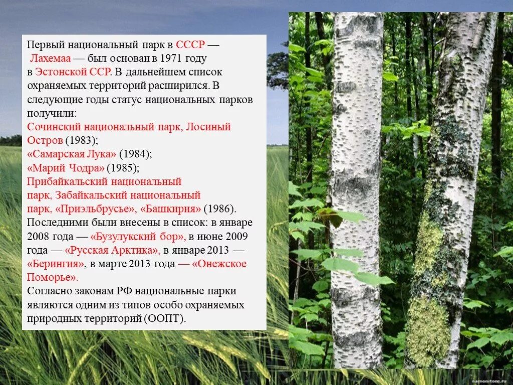 Какие национальные парки есть в нашей стране. Национальный парк презентация. национальные парки описание. название для национального парка. описание национального парка.