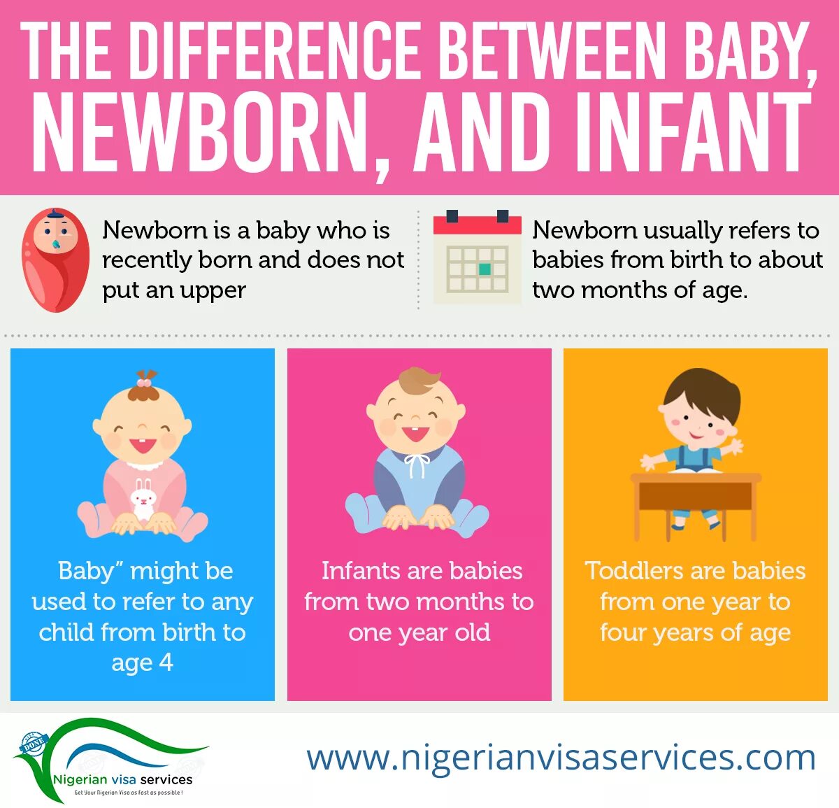 What are the babies go