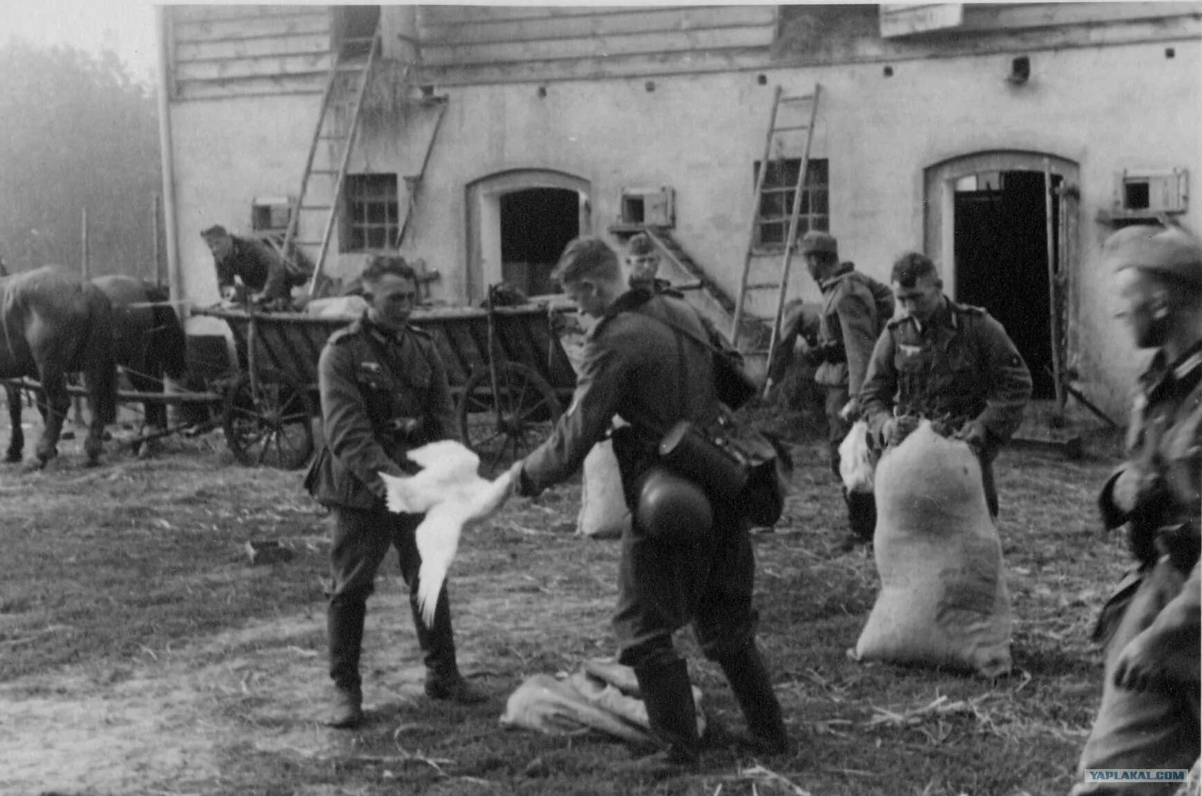 зверства фашистов села 1941. немцы на оккупированной территории зимой. татьяна мотова военнопленные. застава на оккупированной территории сканворд. застава на оккупированной территории сканворд.