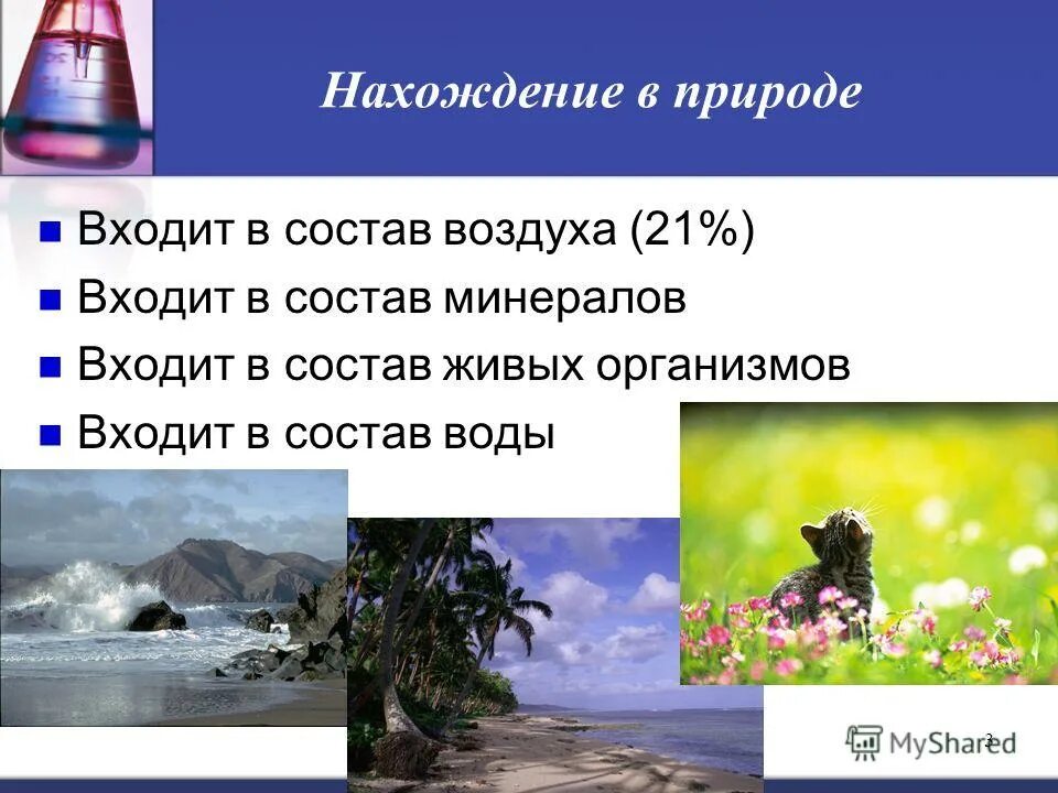 Состав воды в живых организмов