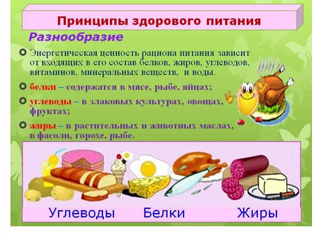 Обязательно ли включать в рацион белковую пищу