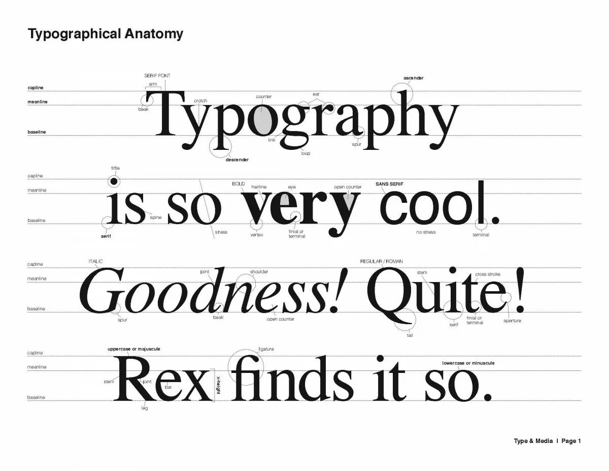 It was quite good. Anatomy of Typography. Typography Basics. Typography Baseline. Типографика перевернутые слова.