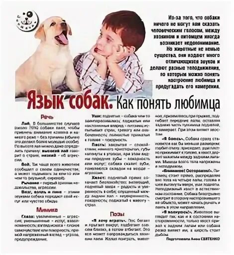 Язык собак как понять. Язык собак как понять питомца. как научить собаку гавкать. как понять язык собак когда гавкает.