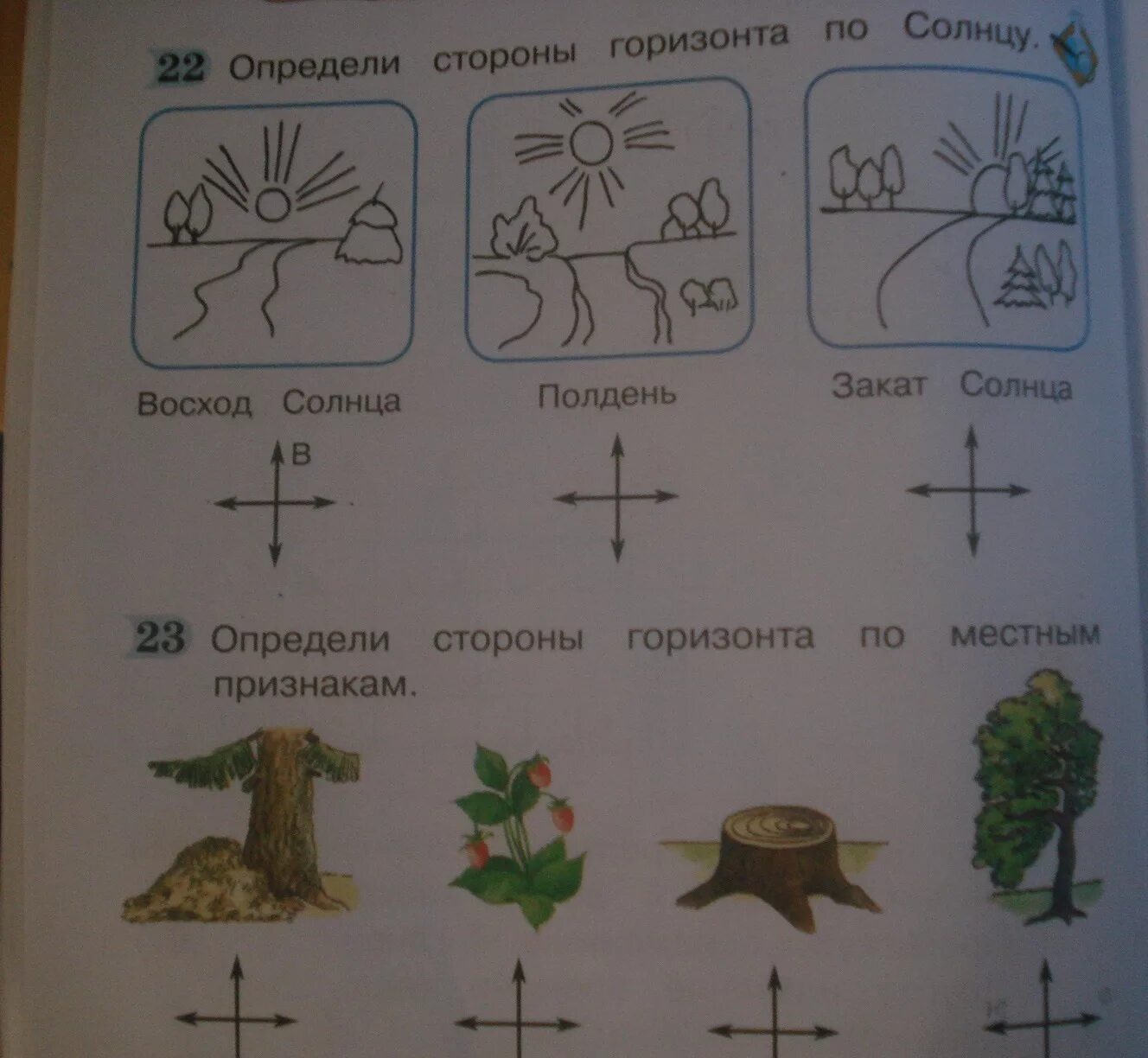 Окружающий мир и отличить. Определить стороны горизонта. Определение сторон горизонта по местным признакам. Определить стороны горизонта по местным признакам. Определить стороны горизонта по природным признакам.