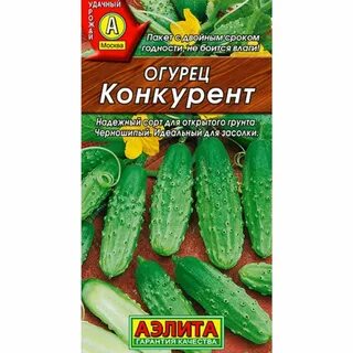 Огурец сорта конкурент