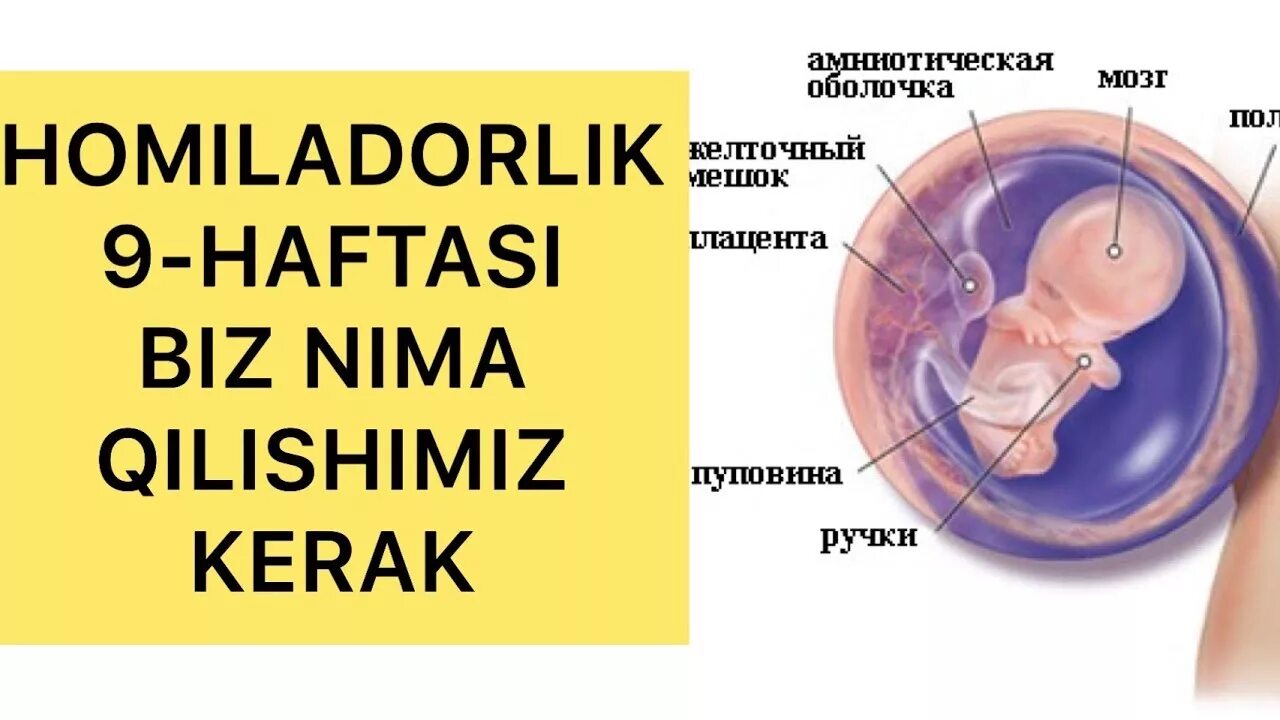 Бит нима