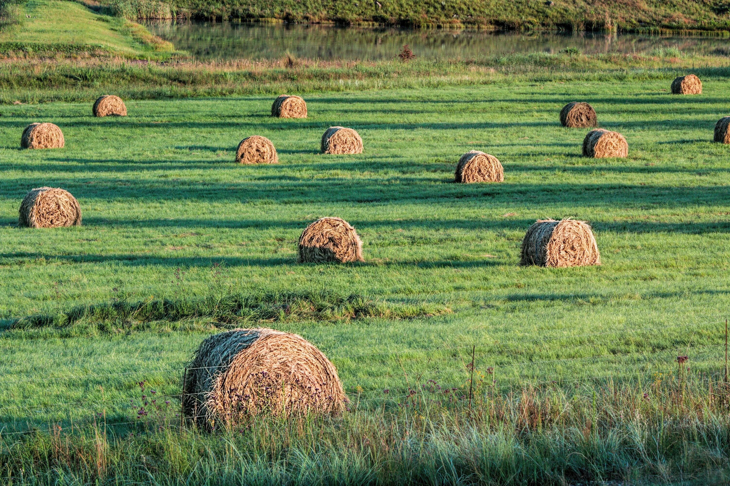 Natural farming. Луга пастбища сенокосы. Сельскохозяйственный ландшафт. Аграрный ландшафт. Культурные ландшафты сельскохозяйственные.