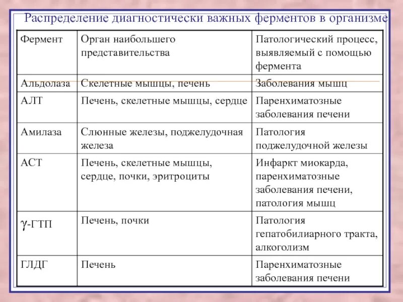 Распределение ферментов в организме. Распределение ферментов в организме человека. Распределение ферментов в органах. Ферменты для диагностики заболеваний. Основные ферменты организма