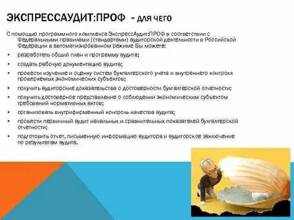 Экспресс аудит