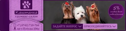 Школа груминга маленькая
