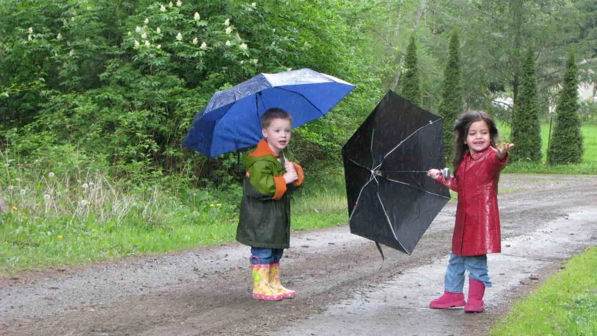 Birds children weather. Rainy Day картинки. Картинки к теме Rainy weather. Children in Rainy weather. Фото для детей it is Rainy.