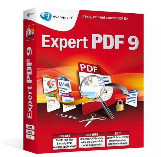Один эксперт. Expert download. Expert 2. 1с эксперт. Expert download.