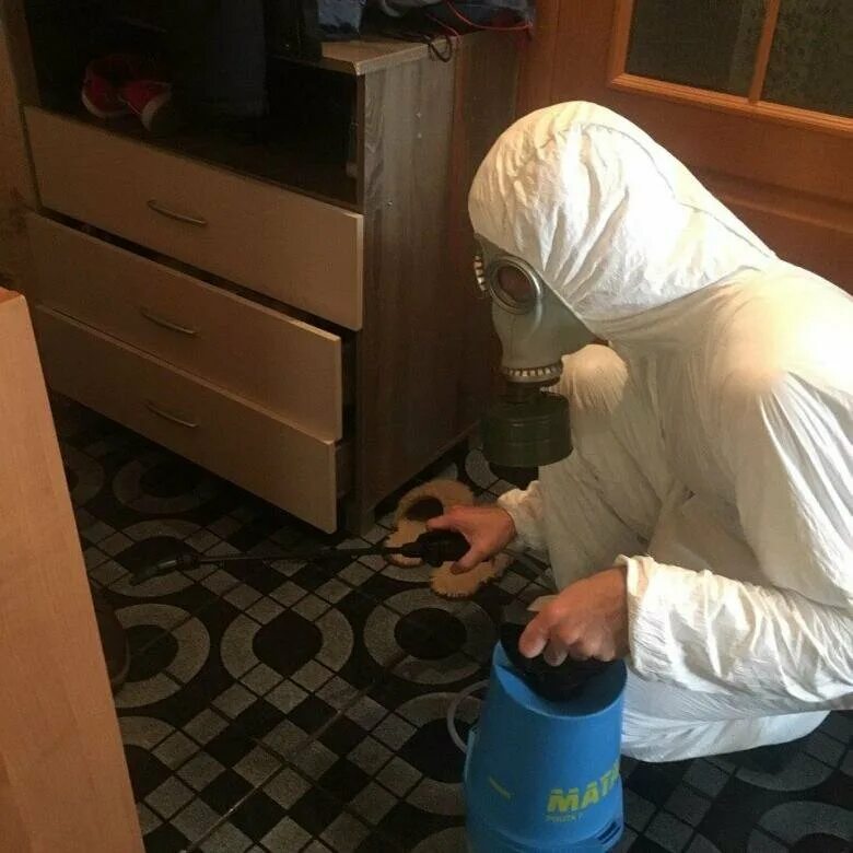 Дезинсекция борьба с насекомыми. Дезинсекция тараканов. Служба уничтожения клопов в москве. Объявление уничтожение тараканов. Травить тараканов вызов на дом.