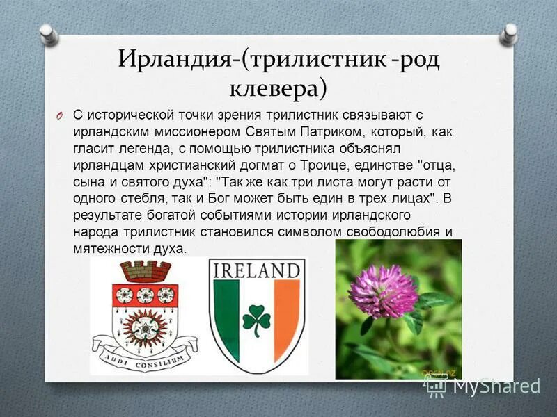 Растение символ страны. Растения символы разных стран. Цветы символы стран. Национальные символы Ирландии. Символ Ирландии.