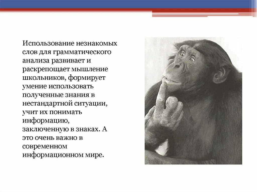 Неизвестные она текста. Незнакомые слова. Неизвестные слова. Неизвестное слово. Незнакомые слова и их значение.