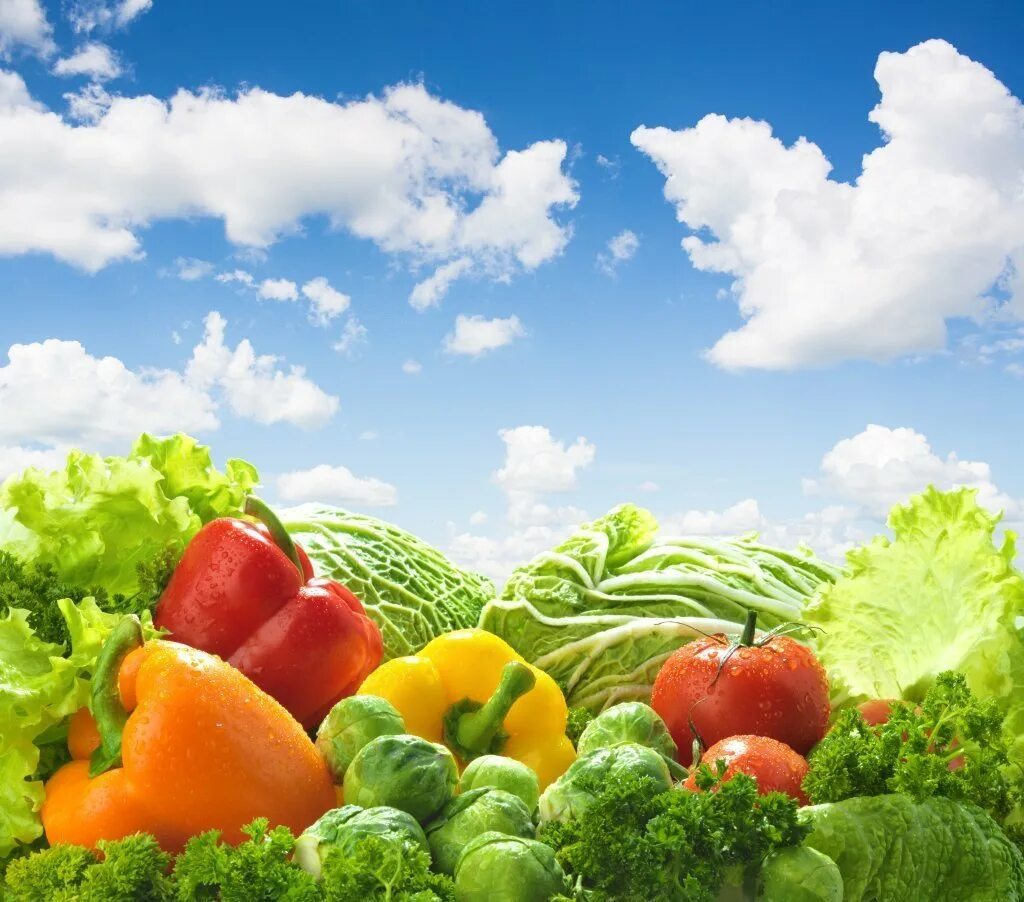 Огород картинки фоны. Овощи и фрукты. Овощи фон. Здоровое питание. Овощи фрукты фон.