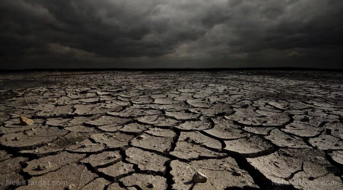 Глобальные экологические проблемы климатические изменения. Засуха. Изменение климата. Потепление климата. Вымершая земля.