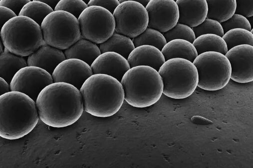 Image from an atomic force microscope. Things under a microscope, Science, Molec