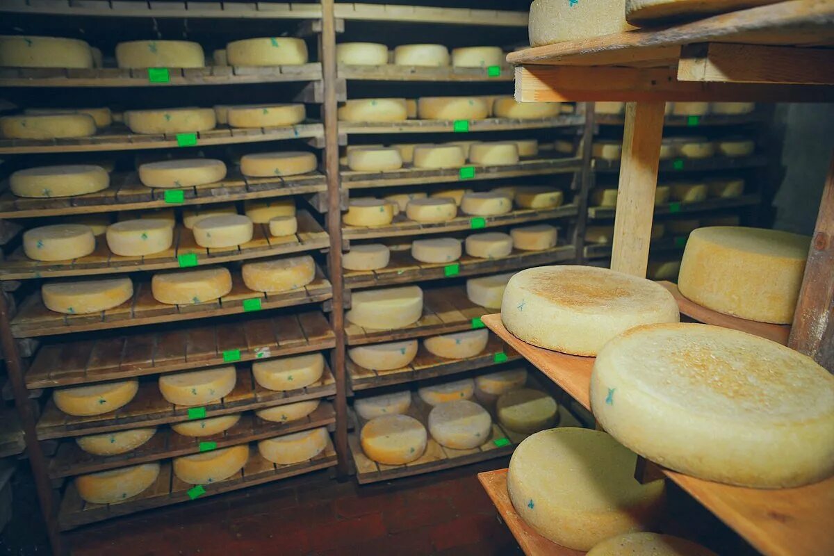 Сыроварня калининградская область. Сыроварня тильзит рагнит. Сыроварня калининград schaaken dorf. Сыроварня калининградская область. Сыроварня калининградская область.