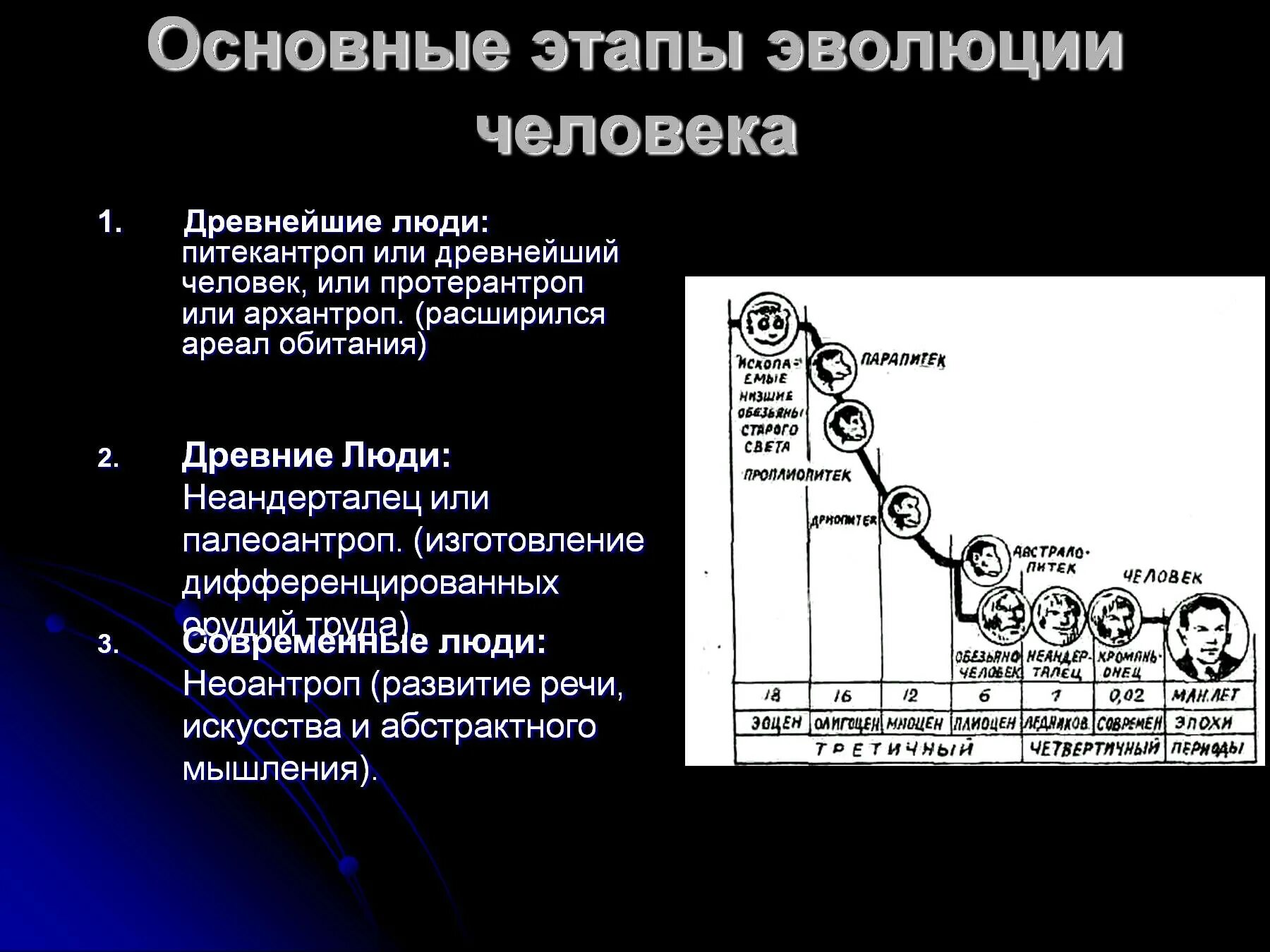 Основные этапы эволюции человека. Основные стадии эволюции человека. Ключевые стадии в эволюции человека. Этапы эволюции человека таблица. Стадия развития племени