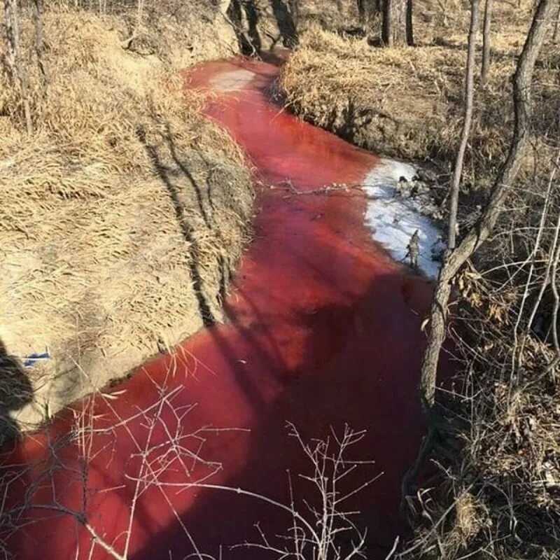 Кровавое озеро. The blood river. Ривер метал. Ривер метал. The blood river.