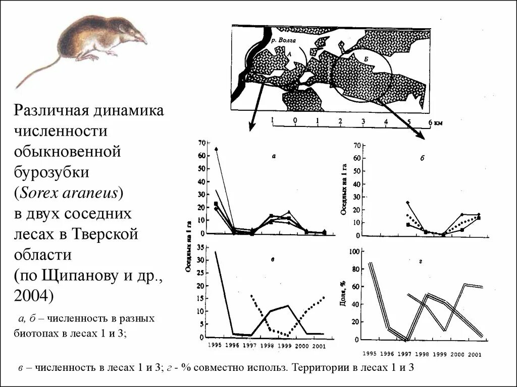 Бурозубка обыкновенная – Sorex Araneus. Динамика численности мышей. Популяционные волны. Популяционные волны схема. Как изменится численность мышей и коз