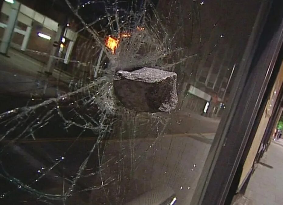Однажды в московском зоопарке разбилось стекло. Разбитые витрины. Разбитое стекло витрины. Камень разбил стекло. Разбить стекло.