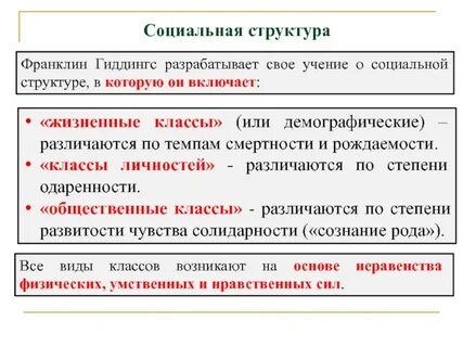 Социальная структура в социологии