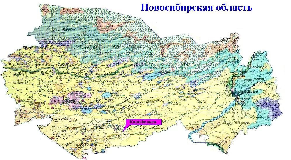 Какие водные объекты находятся в новосибирской области. Географическая карта Новосибирской области. Карта лесов Новосибирской области подробная карта. Географическая карта Новосибирской области подробная карта. Физическая карта НСО Новосибирской области.