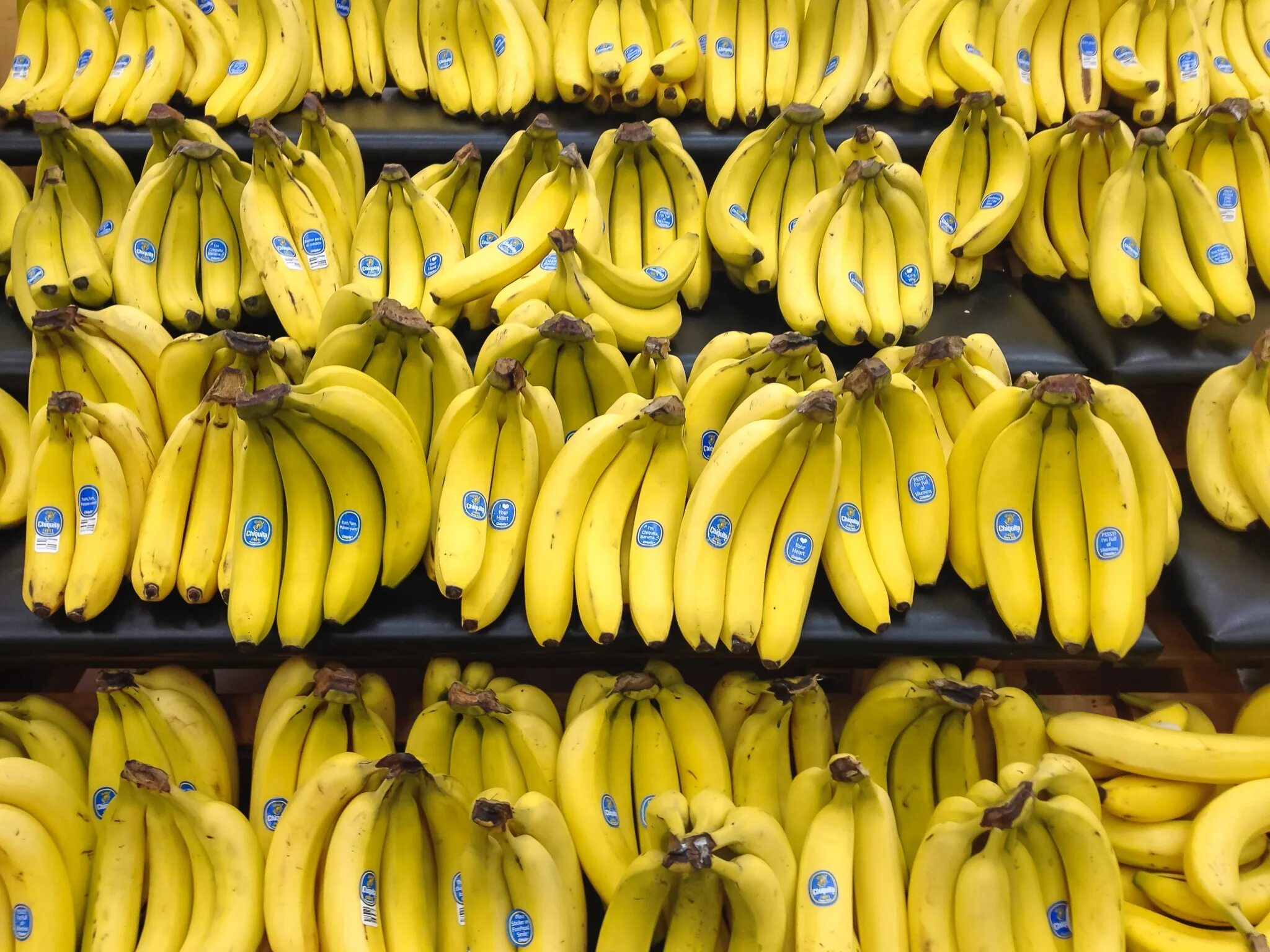 Где купить банан. Банановые плантации в Эквадоре. Сорт банана Эквадор. Плантации бананов. Марки бананов.