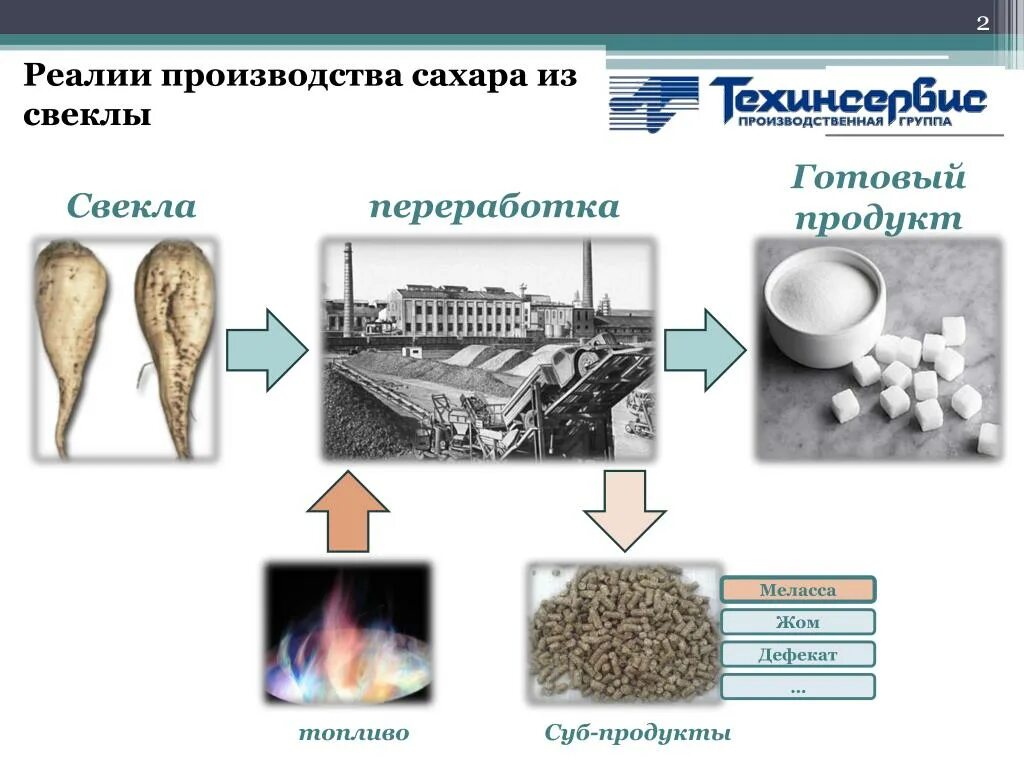 Процесс переработки сахарной свеклы в сахар. Схема переработки сахарной свеклы. Схема производства сахара из сахарной свеклы для детей. Производство сахара из свёклы схема для детей.